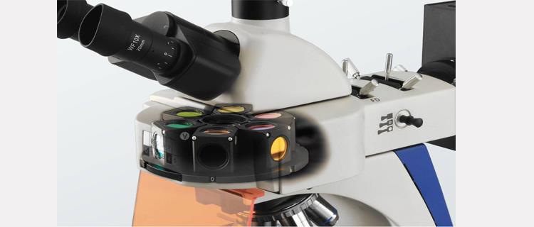 Lab Fluorescence Biological Microscope factory