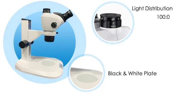 Factory Digital Zoom Stereo Microscope